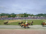 ABOUT HORSE RACE IN BAC HA